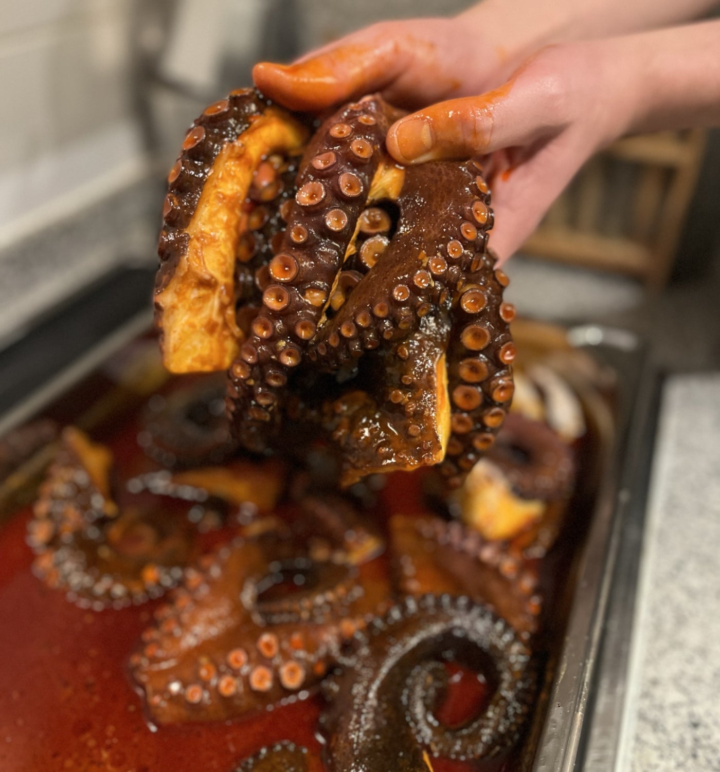 Carnívoros
